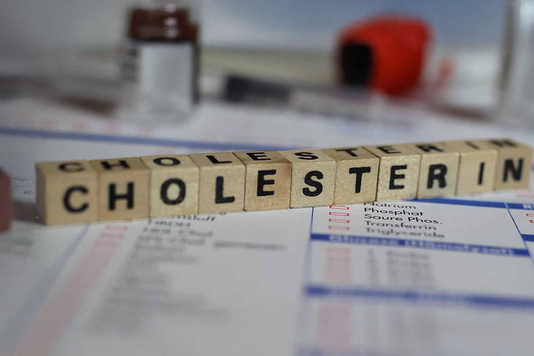 Das Wort Cholesterin aus Holzkloetzchen mit Buchstaben gebildet
