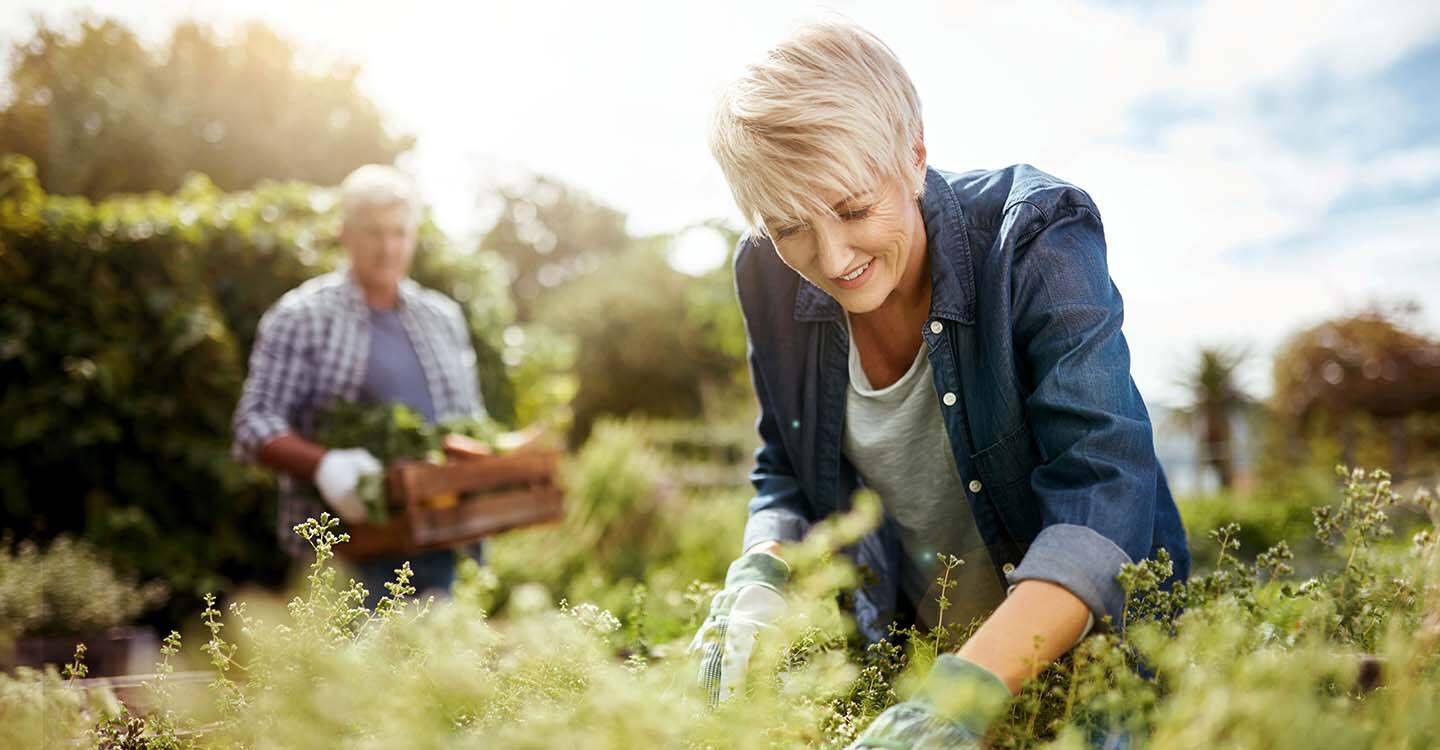 Älteres Paar bei der Gartenarbeit