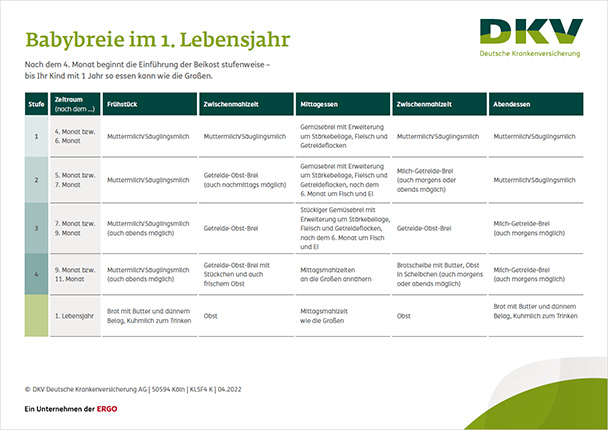 PDF Vorschau Beikostplan