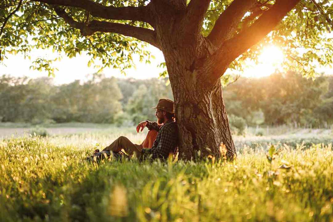 Ein Mann sitzt im Sonnenlicht an einen Baum gelehnt
